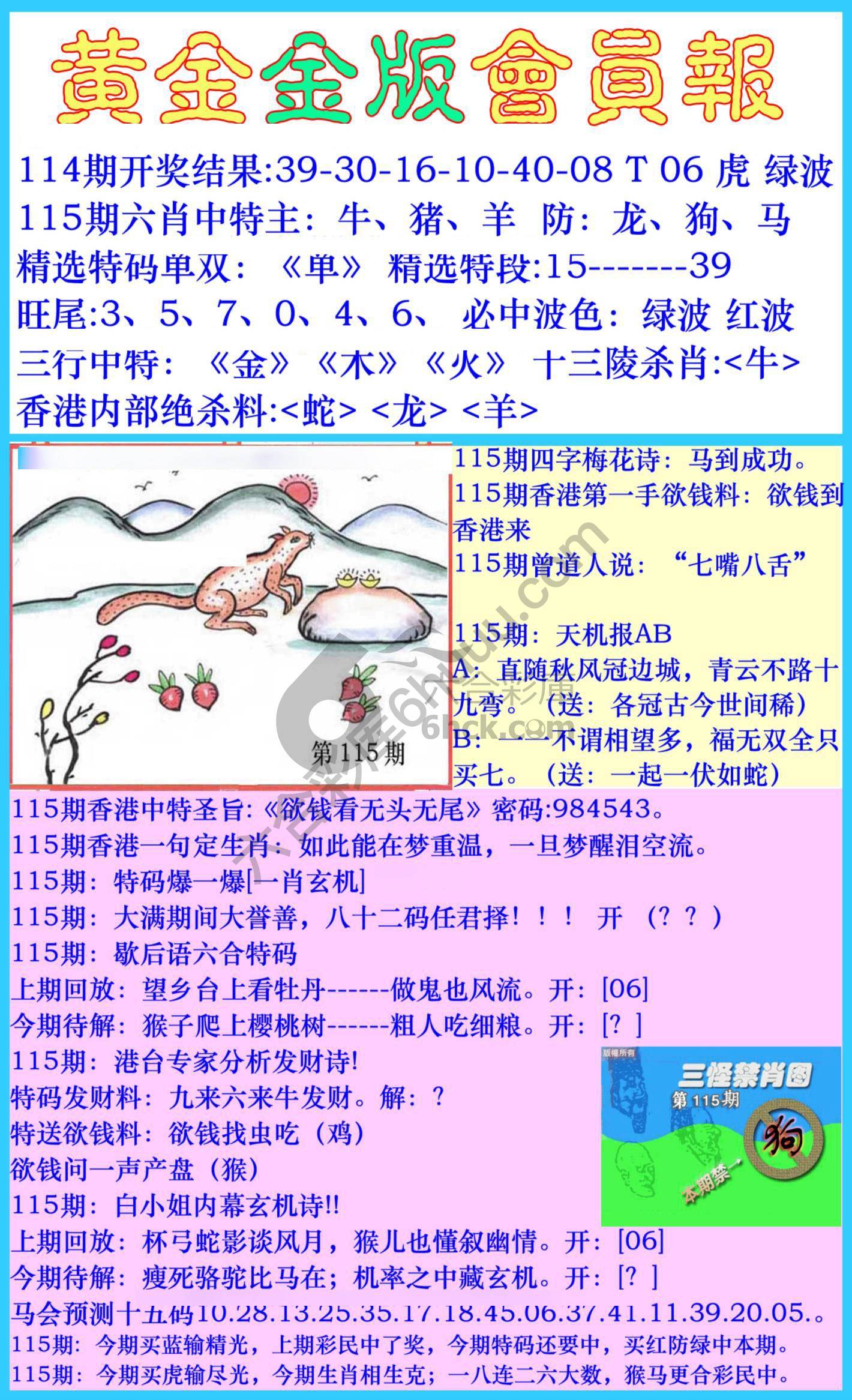 黄金金版会员报