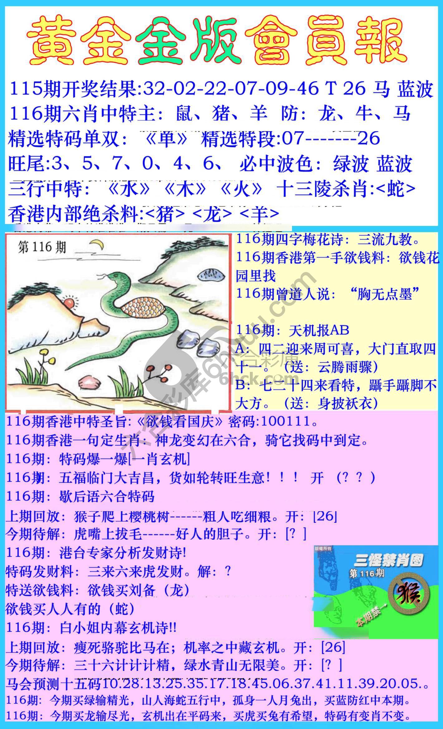 黄金金版会员报