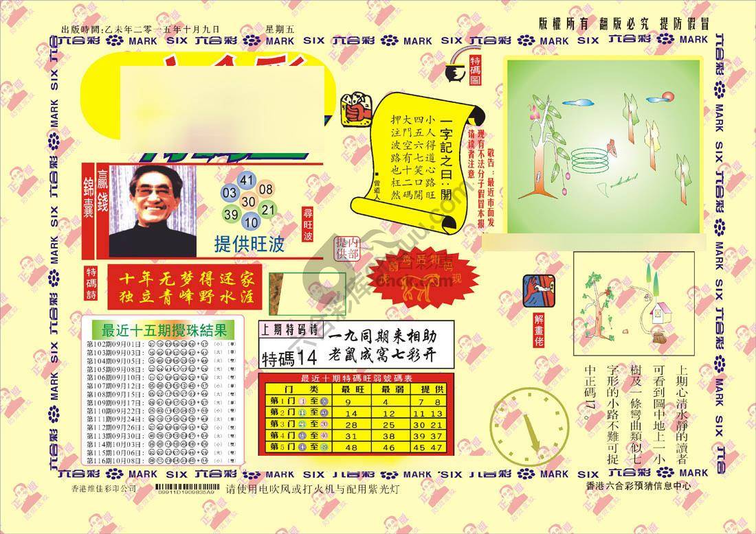 特码王