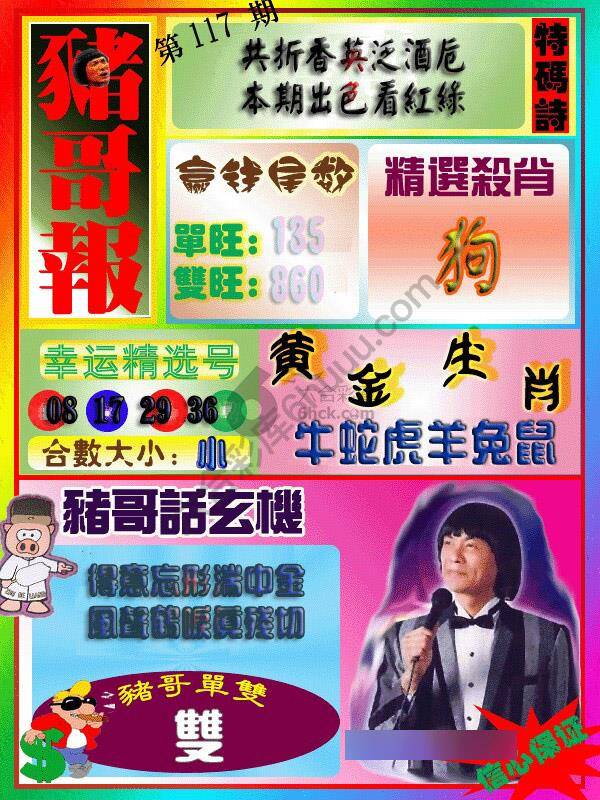 猪哥报