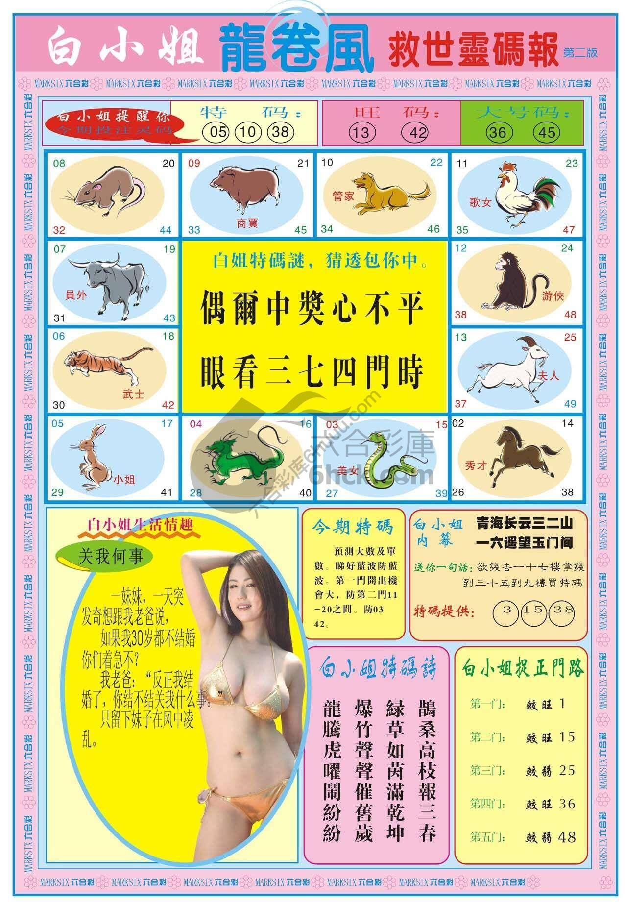 白小姐龙卷风