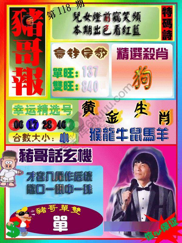 猪哥报