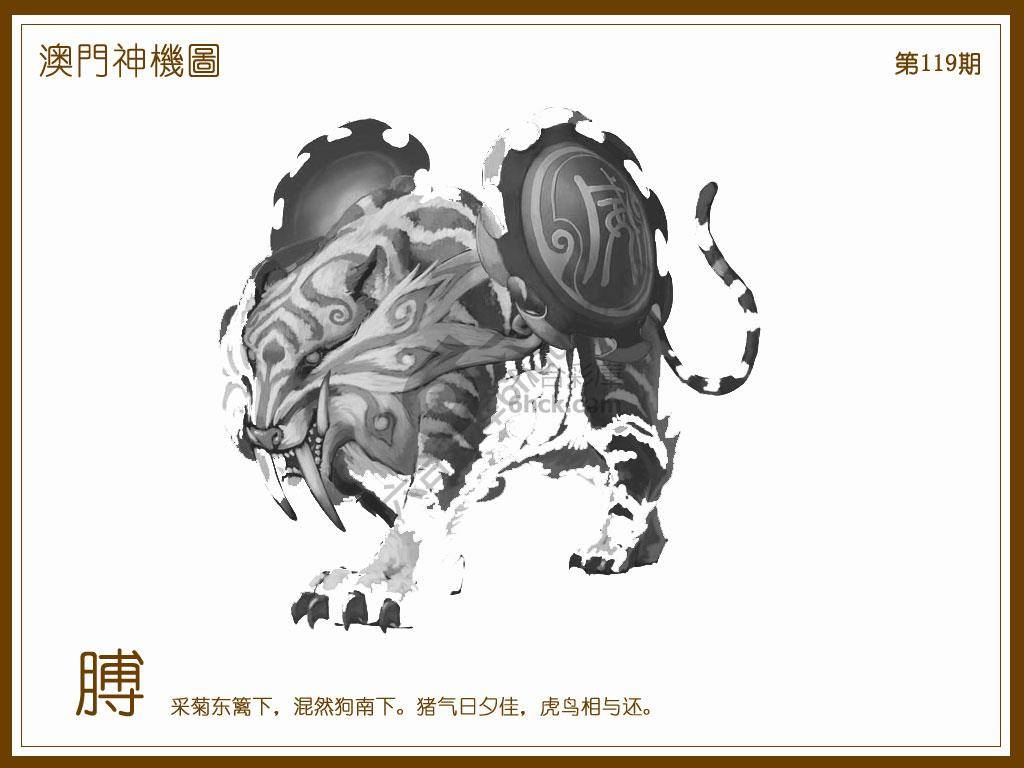 澳门神机图