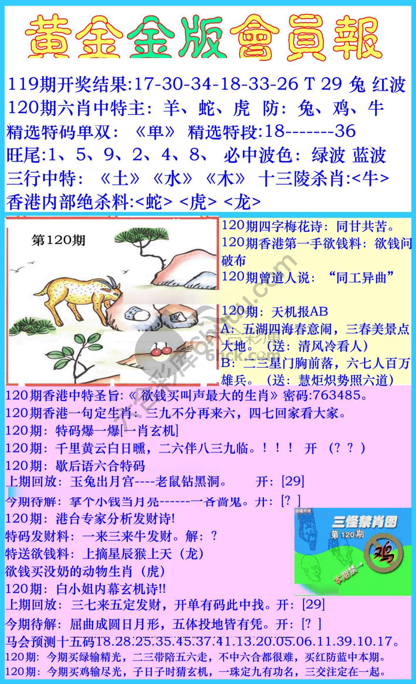 黄金金版会员报