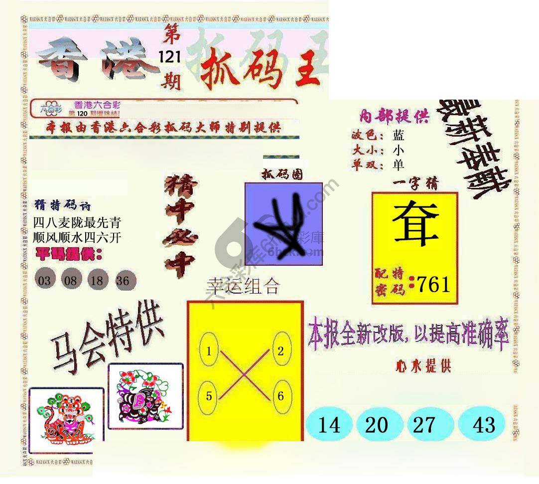 新抓码王