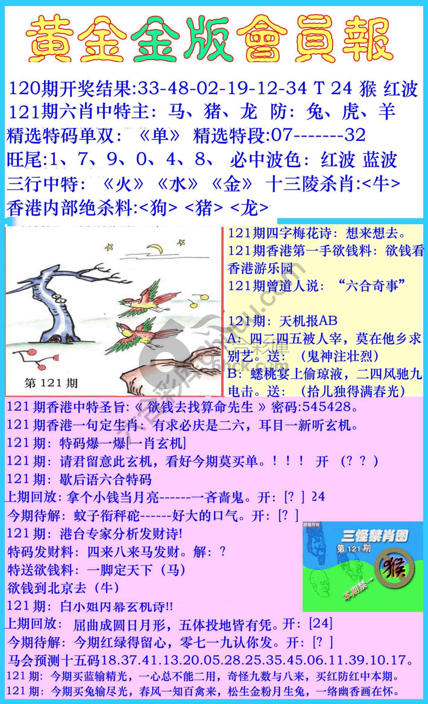 黄金金版会员报