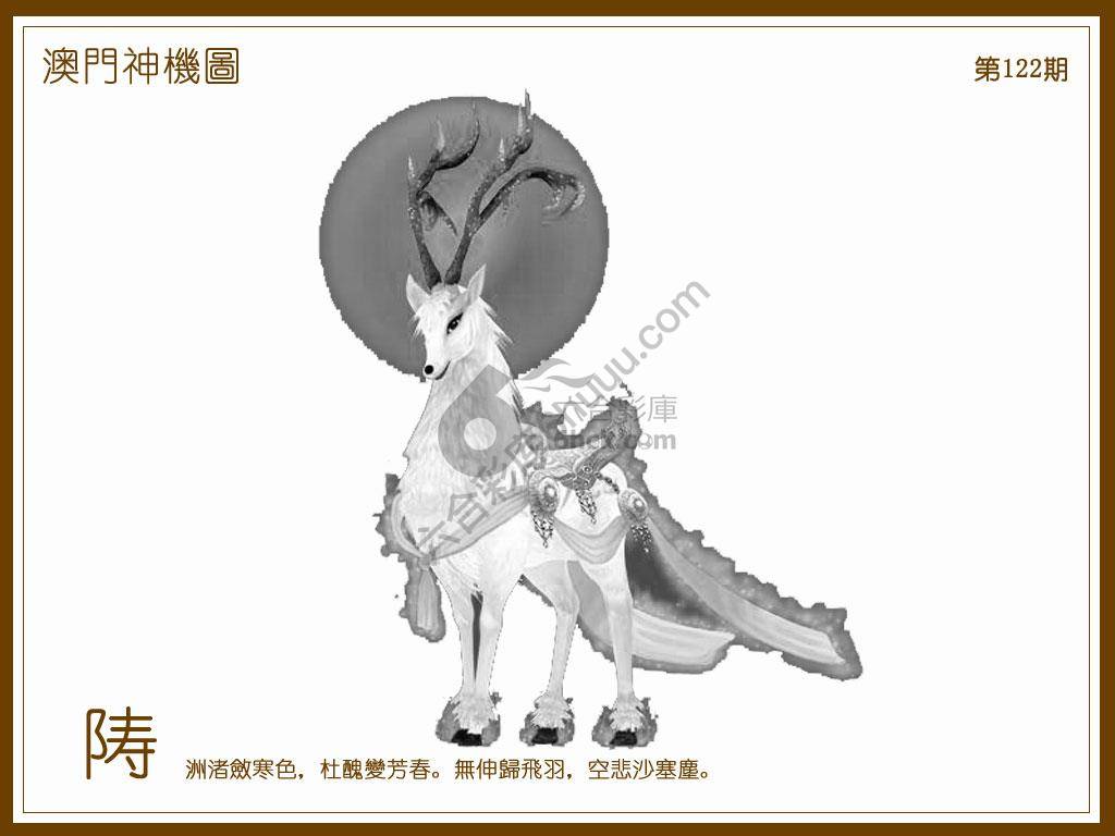 澳门神机图