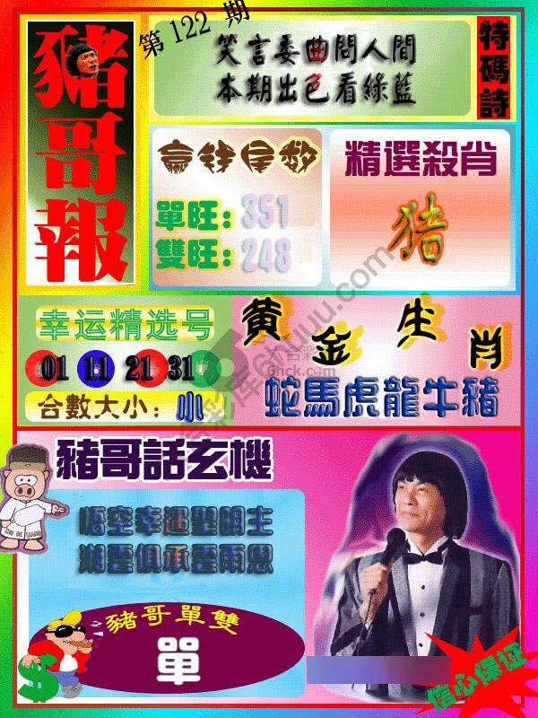 猪哥报