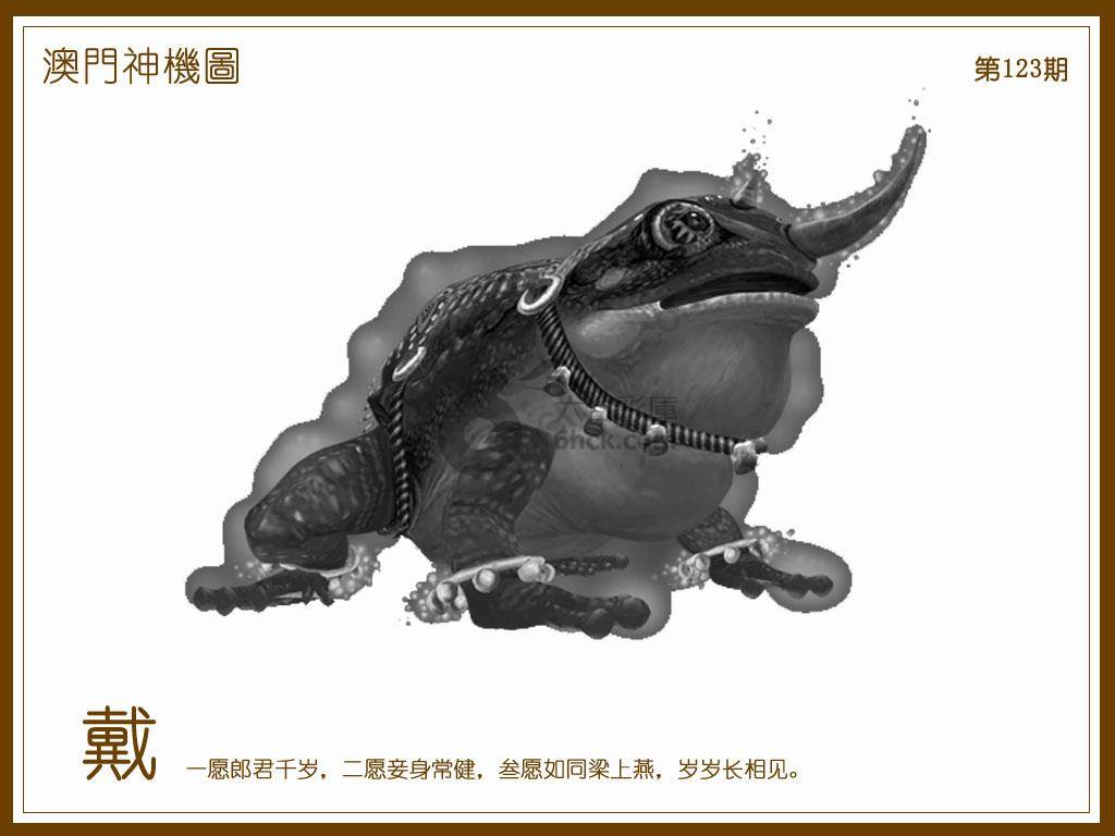 澳门神机图