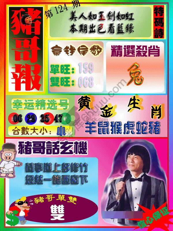 猪哥报