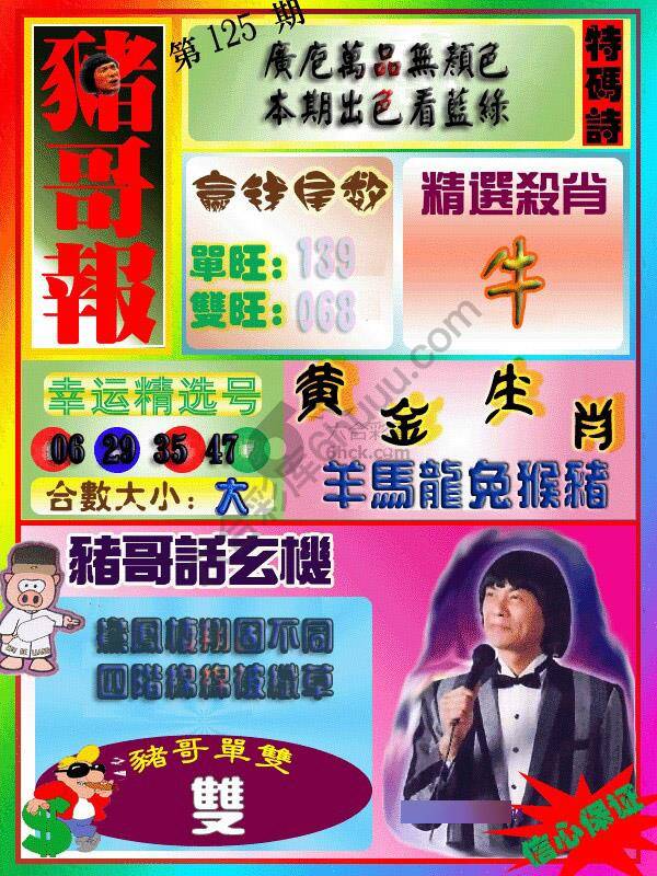 猪哥报