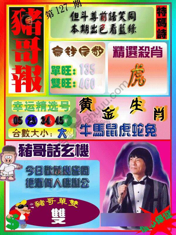 猪哥报