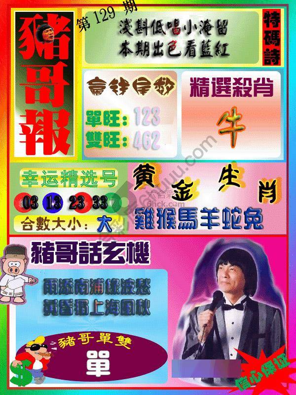 猪哥报