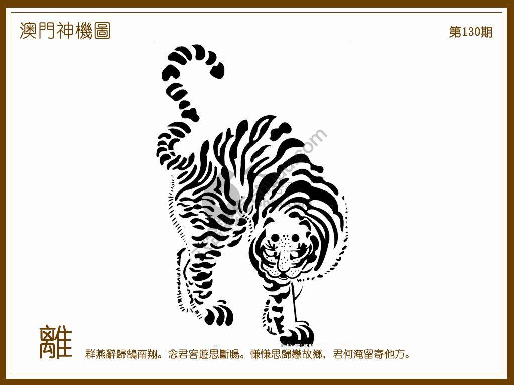 澳门神机图