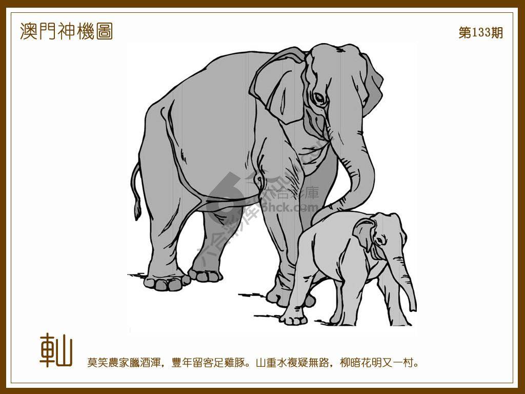 澳门神机图