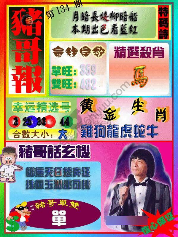 猪哥报