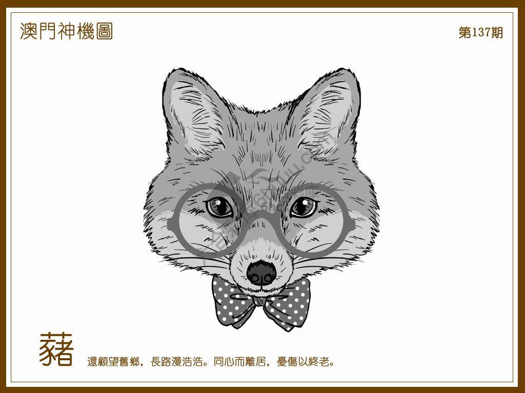 澳门神机图