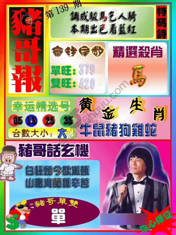 猪哥报