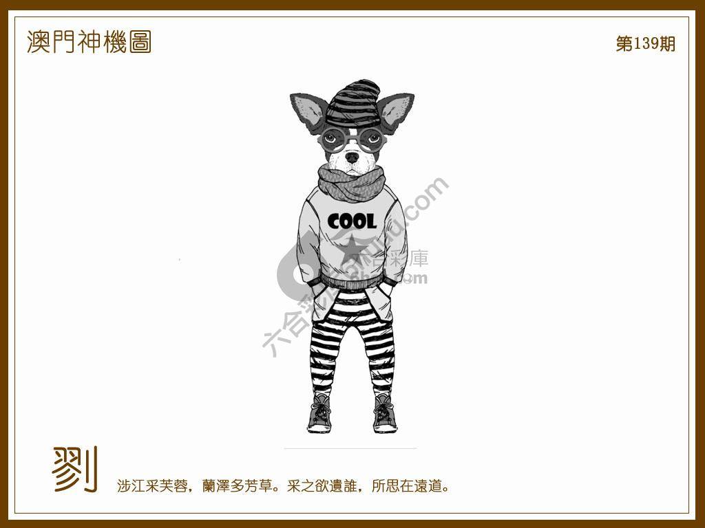 澳门神机图