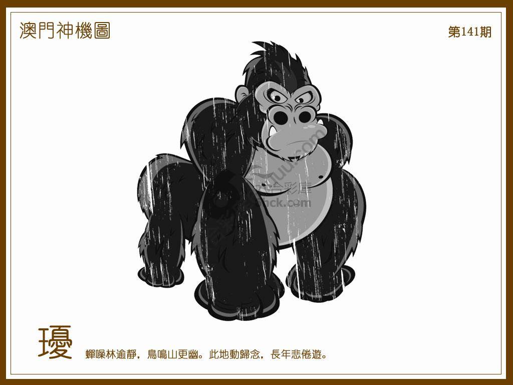 澳门神机图