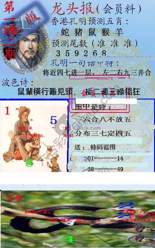 龙头报