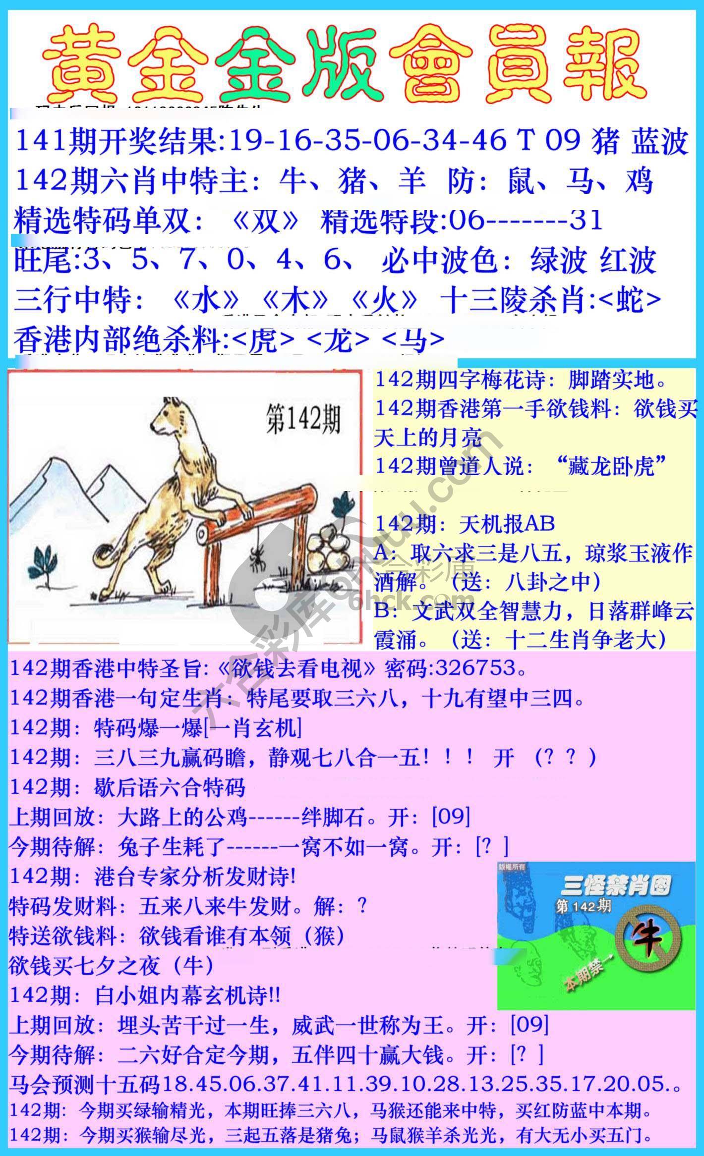 黄金金版会员报