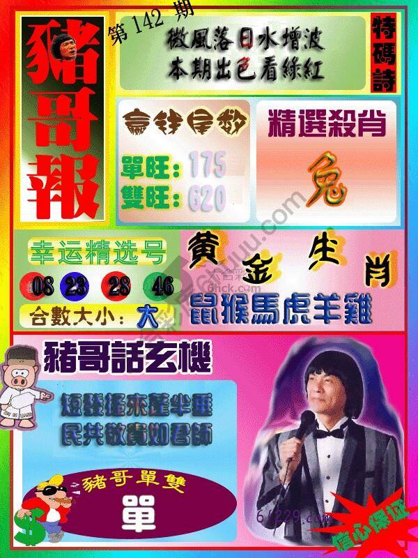 猪哥报