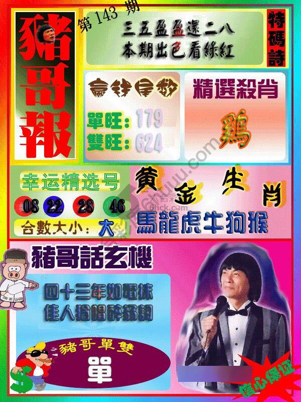 猪哥报