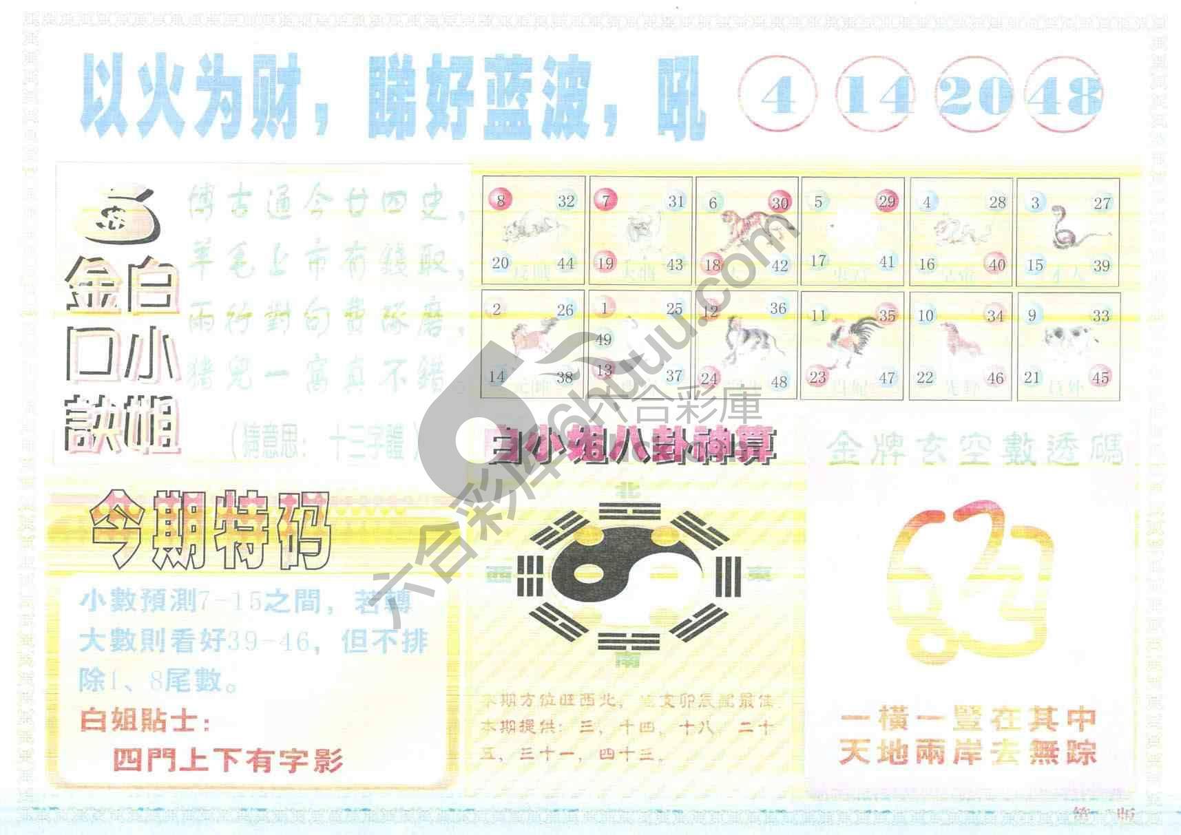 白姐内幕