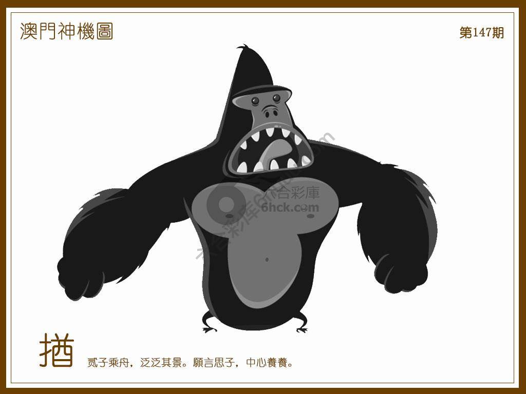 澳门神机图