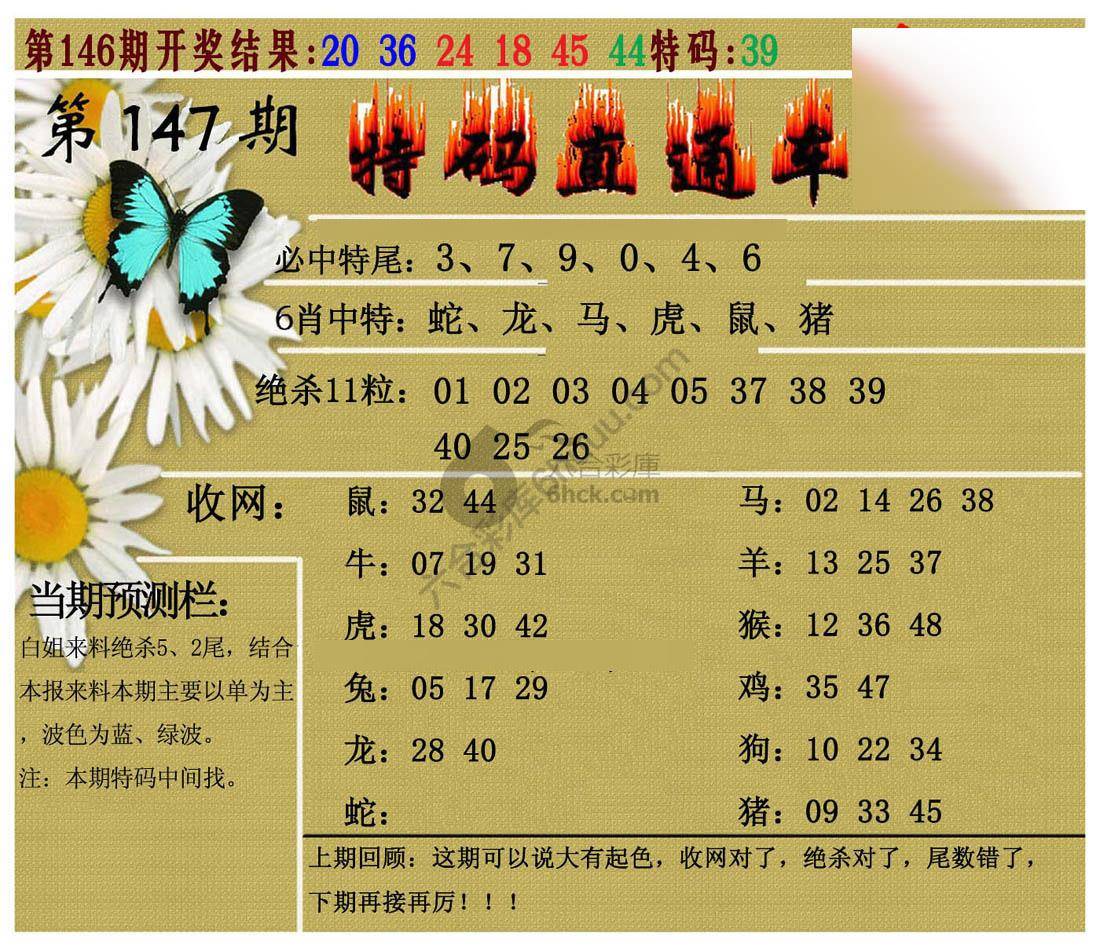 特码直通车