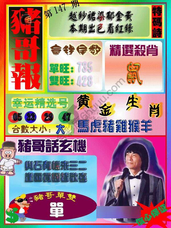 猪哥报