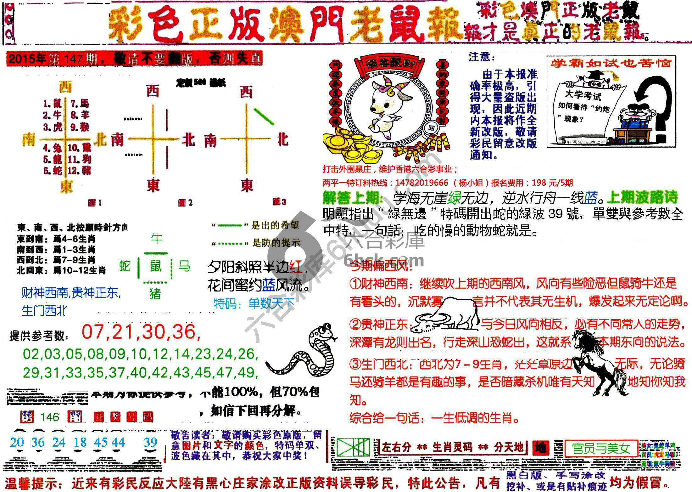 澳门老鼠报
