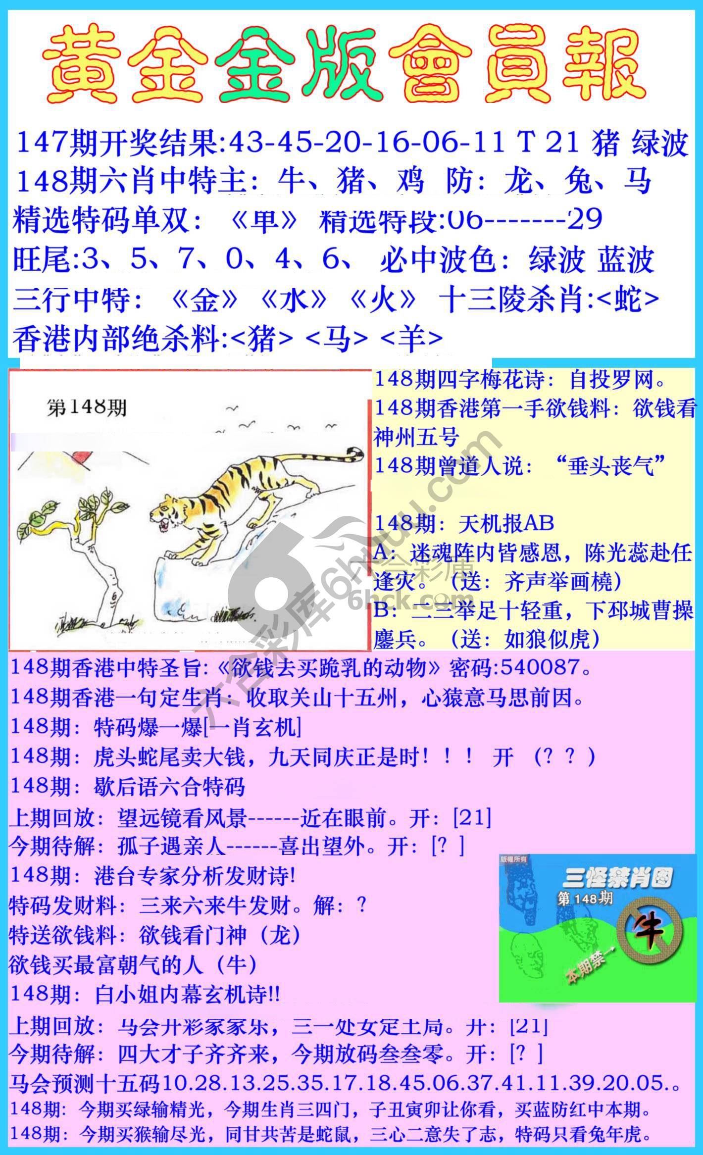 黄金金版会员报