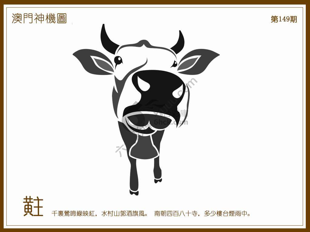 澳门神机图