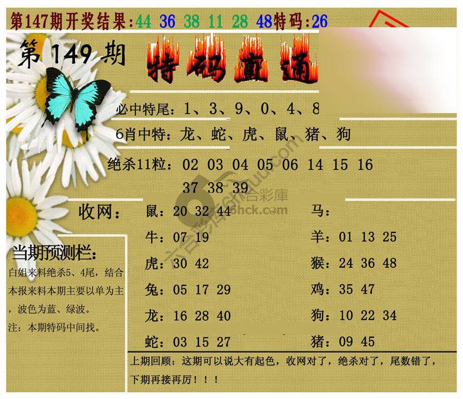 特码直通车