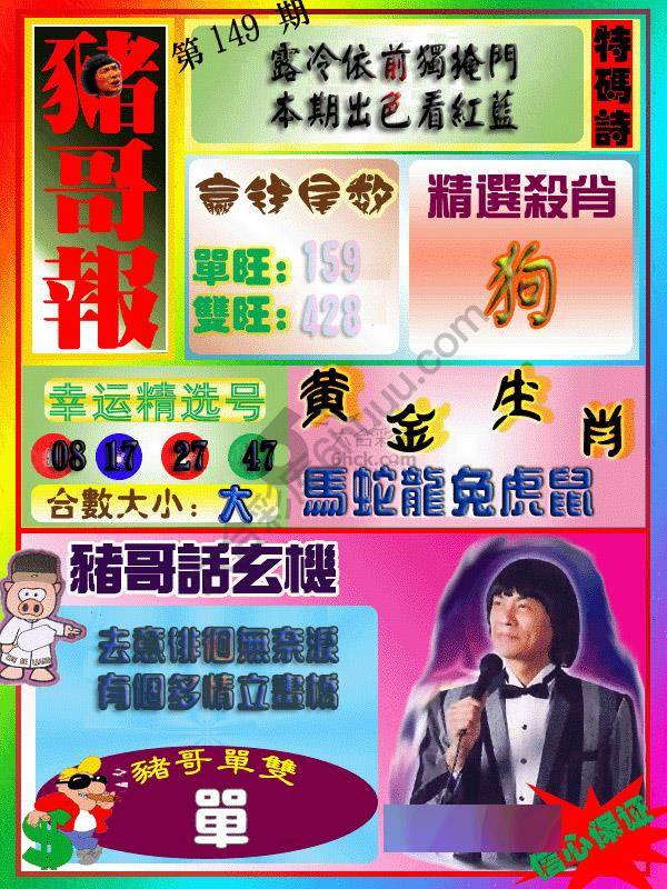 猪哥报