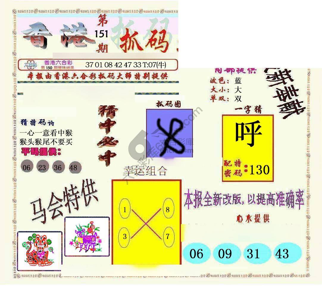 新抓码王