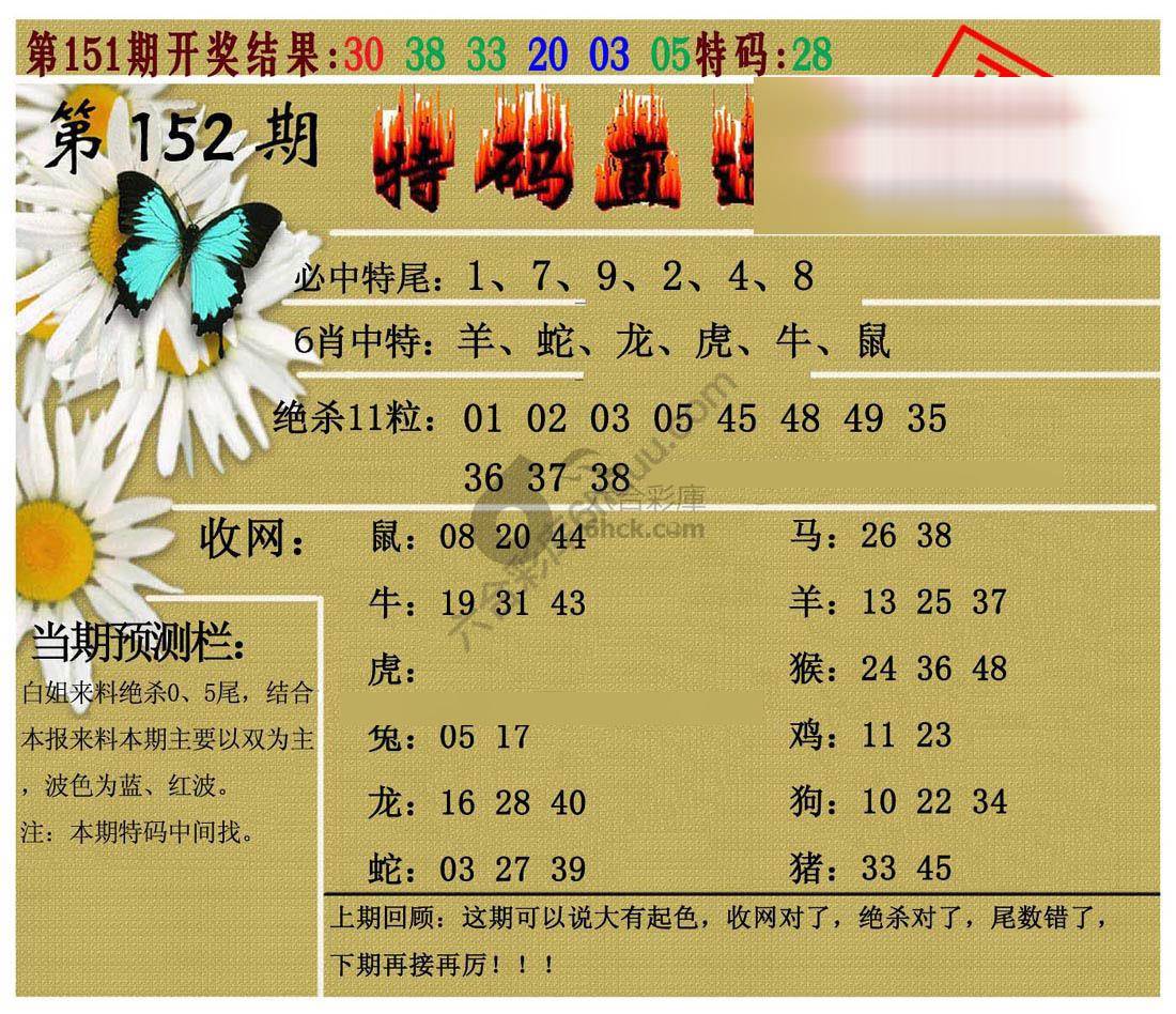 特码直通车