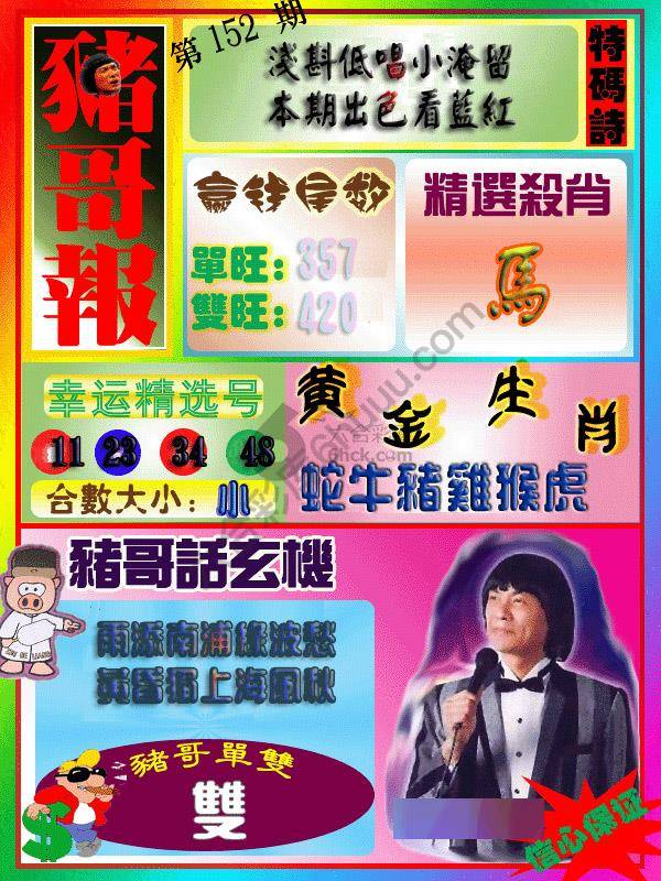 猪哥报