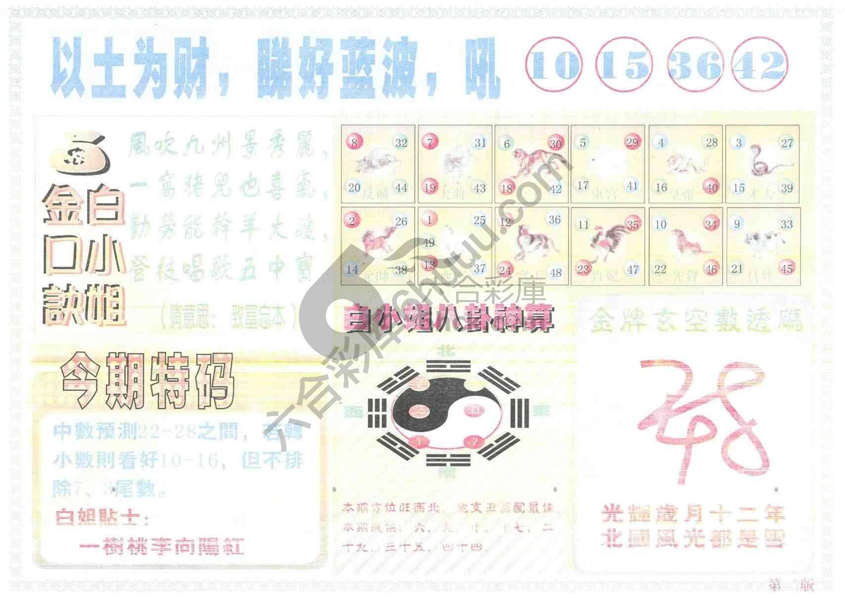 白姐内幕