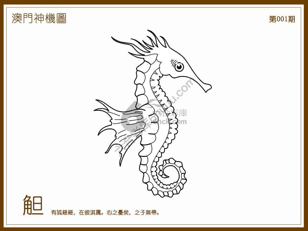 澳门神机图
