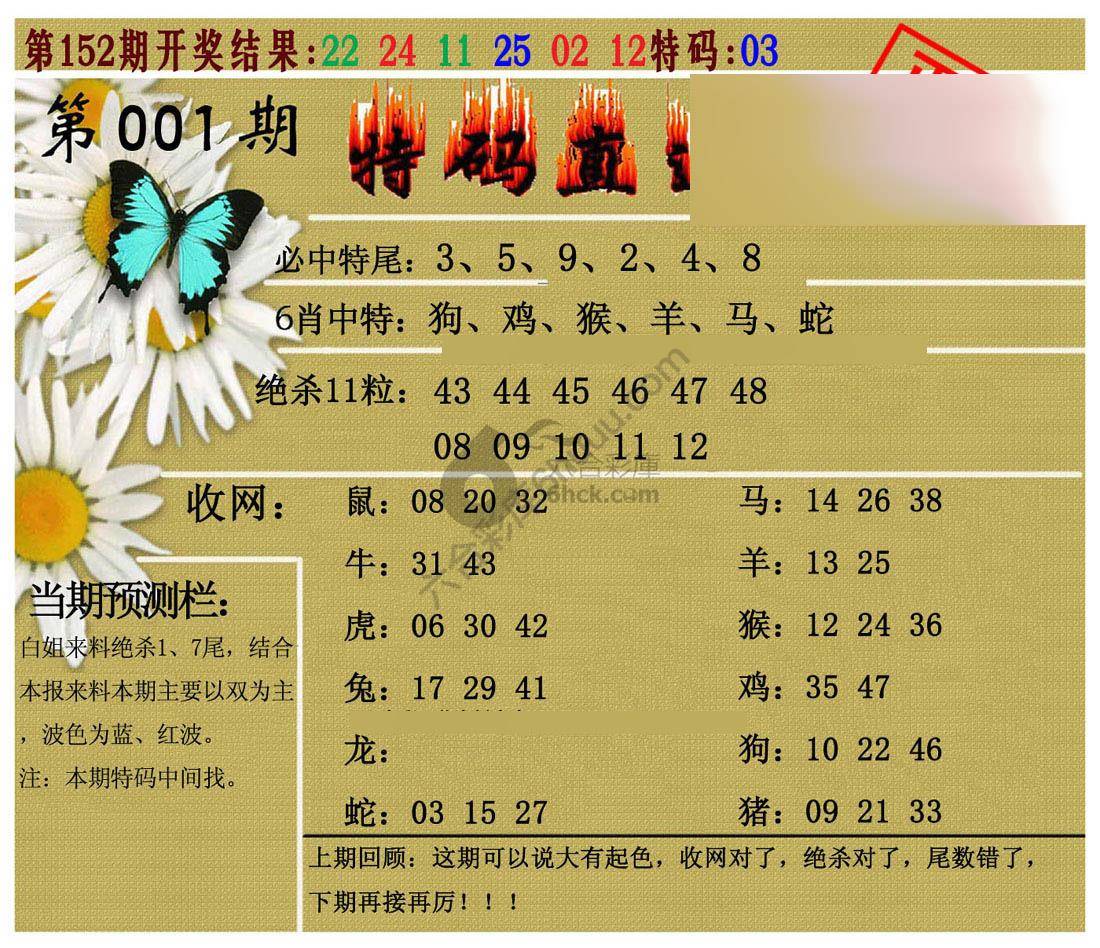 特码直通车