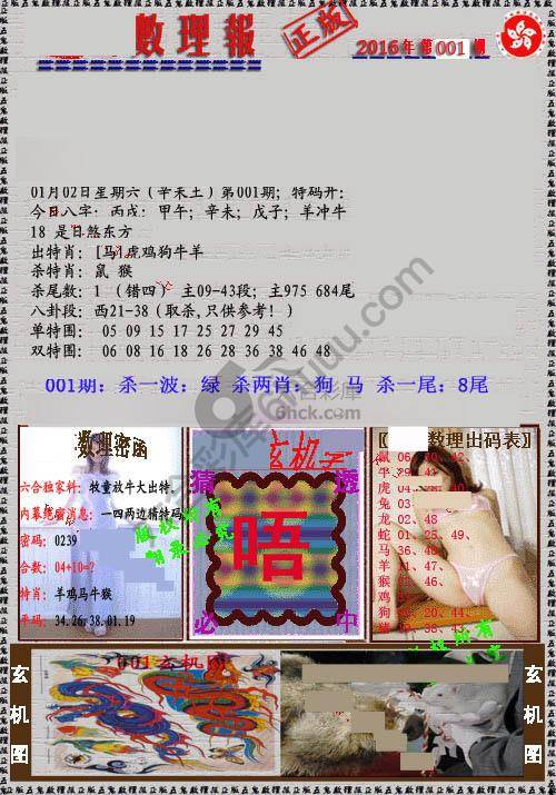 数理报