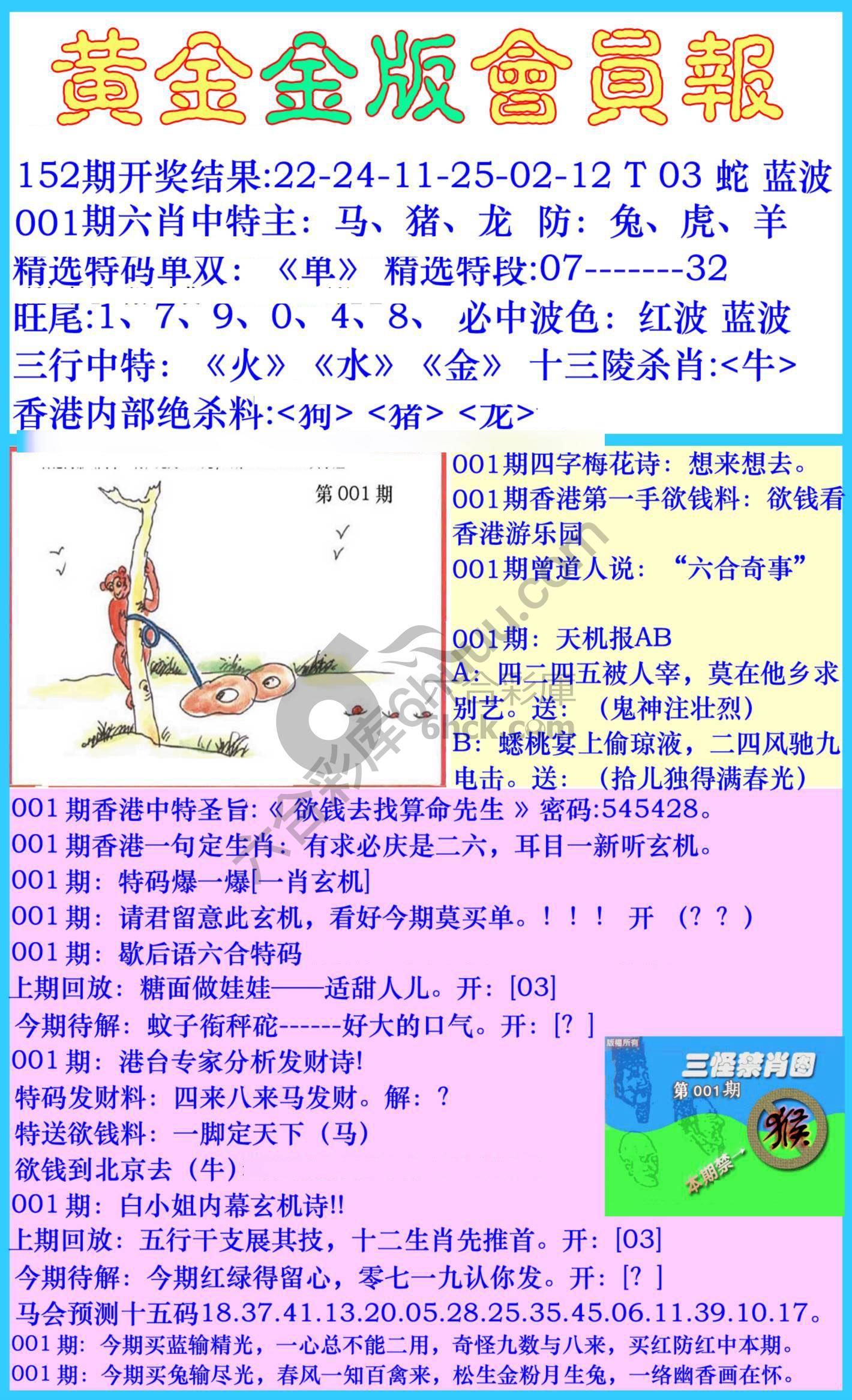 黄金金版会员报