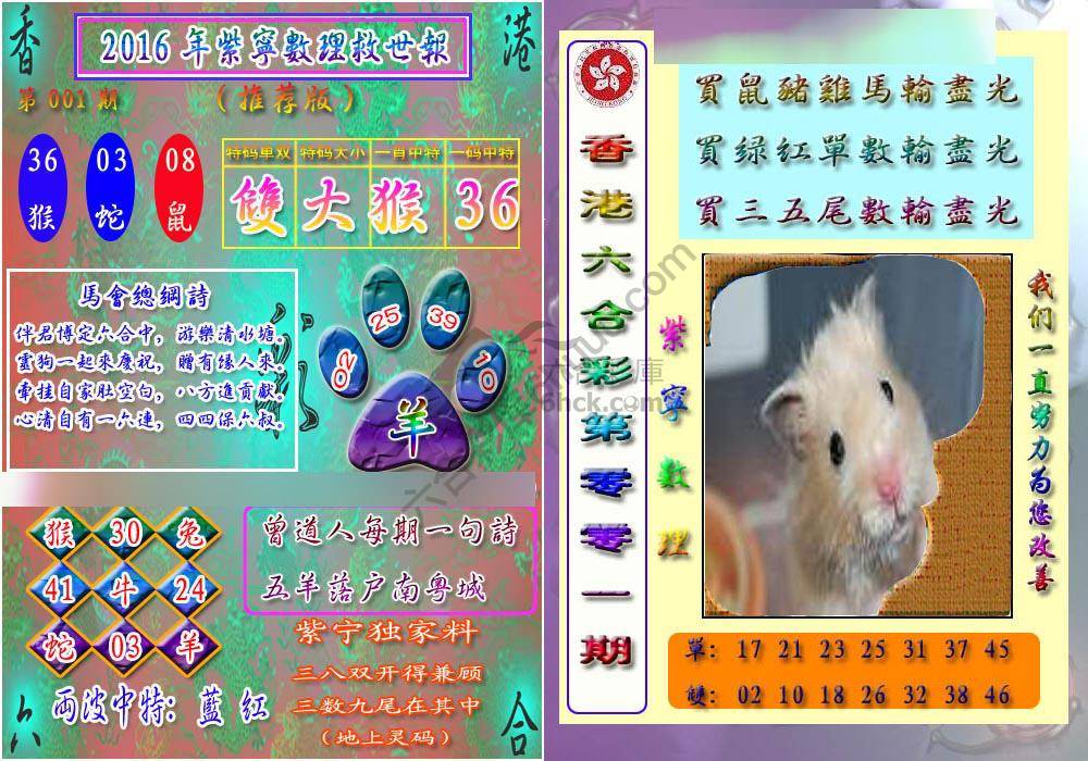 数理救世报