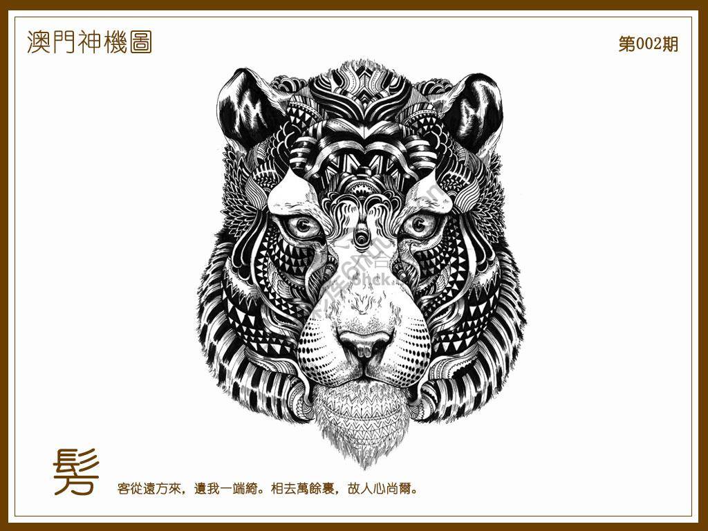 澳门神机图