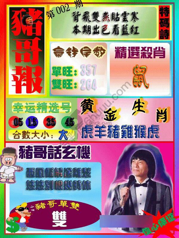 猪哥报