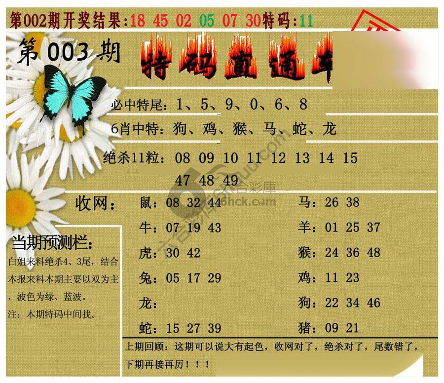 特码直通车