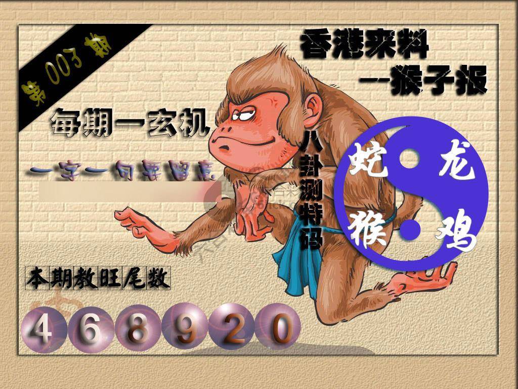 猴子报